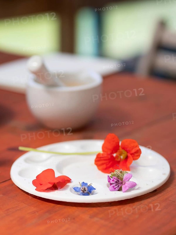 Fresh flowers and vegetables arranged on a palette, ready for preparing natural inks and pigments, with a mortar and pestle in the background