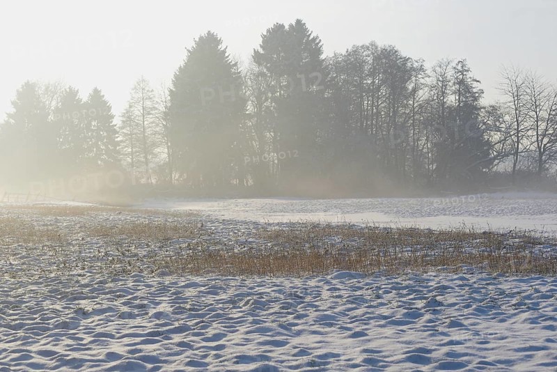 Winterlandschaft, aufsteigender Bodennebel im Licht der Morgensonne, Nordrhein-Westfalen, Deutschland