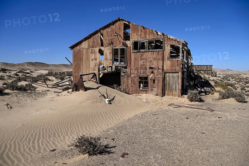 Schädel einer Oryx-Altilope (Oryx gazella) vor einer Ruine der ehemaligen Diamantenstadt Pomona, Diamentensperrgebiet, bei Lüderitz, Region Karas, Namibia