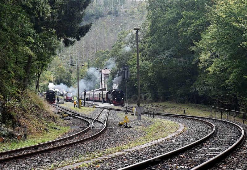 Steam locomotive, steam locomotives double exit on the Harz Narrow Gauge Railway, HSB, in the Harz Mountains near Eisfelder Talmühle, Thuringia, Germany
