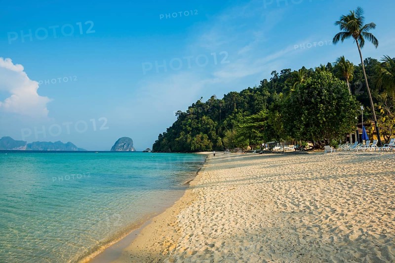 White sandy beach and coconut palms, Sunrise Beach, Koh Great white shark, Ko Ngai, Krabi Province, Trang, Southern Thailand, Andaman Sea, Thailand