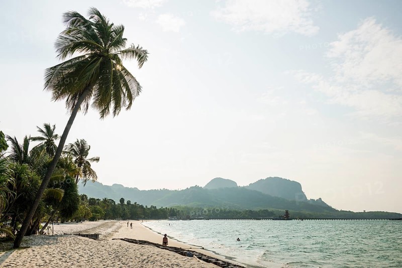 White sandy beach and coconut palms, Pearl Beach, Koh Mook, Trang Province, Southern Thailand, Andaman Sea, Thailand