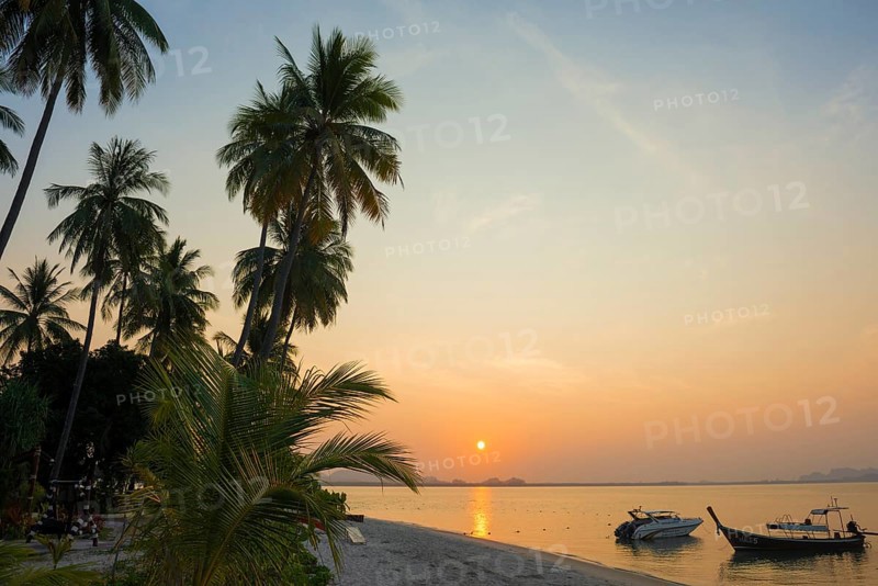 White sandy beach and coconut palms, sunset, Pearl Beach, Koh Mook, Trang Province, Southern Thailand, Andaman Sea, Thailand