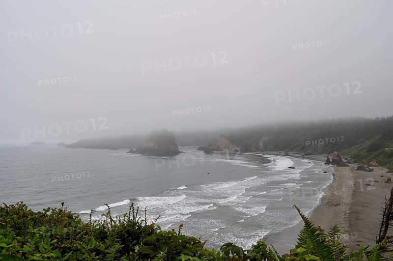Misty coast with rocks and green shore, waves hitting the beach under a grey sky, Redwood National Park, California, USA