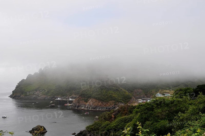 A misty coastal scene with calm water, small boats, and a wooded hill, Redwood National Park, California, USA