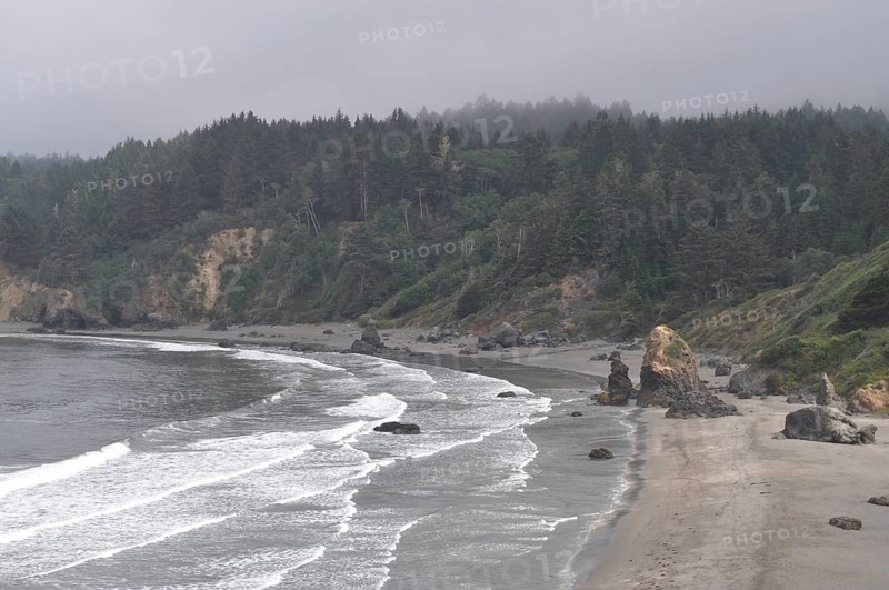 View of foggy beach with waves and rocks against a wooded, mystical background, Redwood National Park, California, USA
