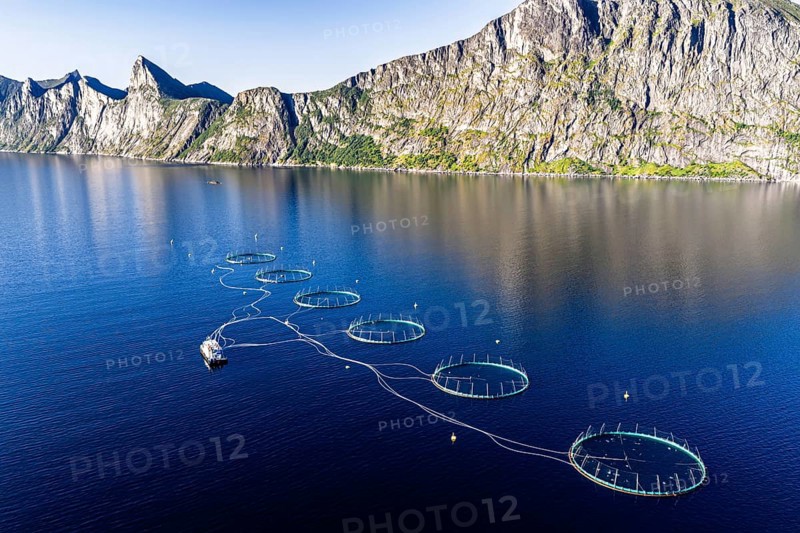 Aerial view of a salmon farm, aquaculture in the Mefjord on Senja island, in the background the peak of famous Segla mountain, Senja, Norway