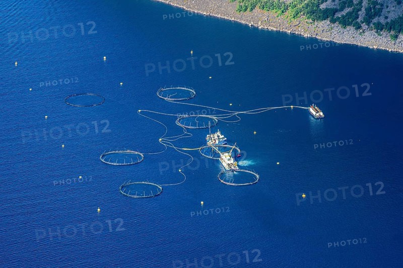 Salmon farm, fjord Ornfjorden, Senja island, Norway
