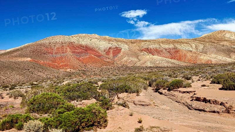 Red-brown hills in a sandy desert landscape under clear blue sky, the landscape and colorful rock formations of the Quebrada de Cafayate near Salta in Argentina