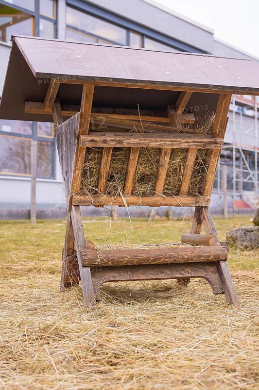 Wooden hay rack stands in a meadow with some haystalks, Schlehengäu Grund Schule Gechingen, Calw district, Germany