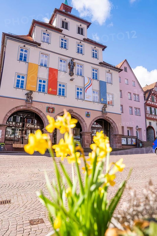 Main entrance of a city building with flags in spring and yellow flowers in the foreground, Calw, Calw district, Germany