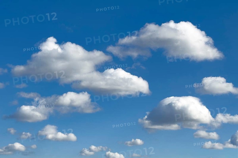 Classic low clouds cluster clouds typical cumulus with a clear lower limit on blue sky, international