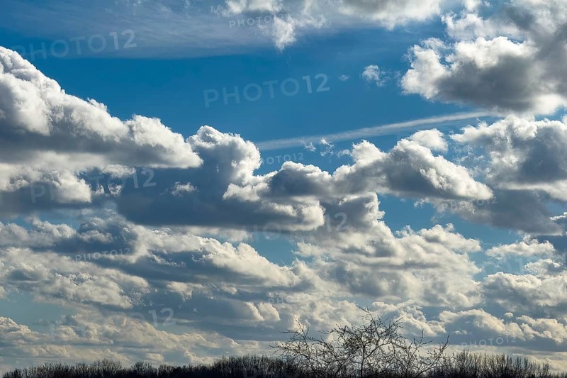 Accumulation of different cumulus clouds, cumulus fractus at the very top, classic cumulus with a sharp lower limit below in the background elongated stratocumulus against a blue sky, international