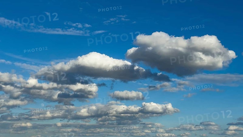 Cloud field of elongated Stratocumulus in front of a blue sky, international