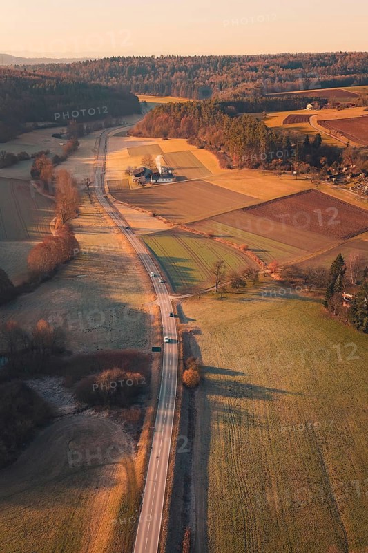 A country road winding through fields and hills in warm sunlight, Aidlingen, Böblingen District, Germany