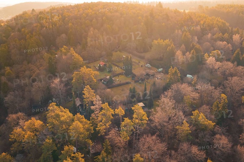 Autumn landscape with cabins surrounded by colorful forest, Aidlingen, Böblingen District, Germany