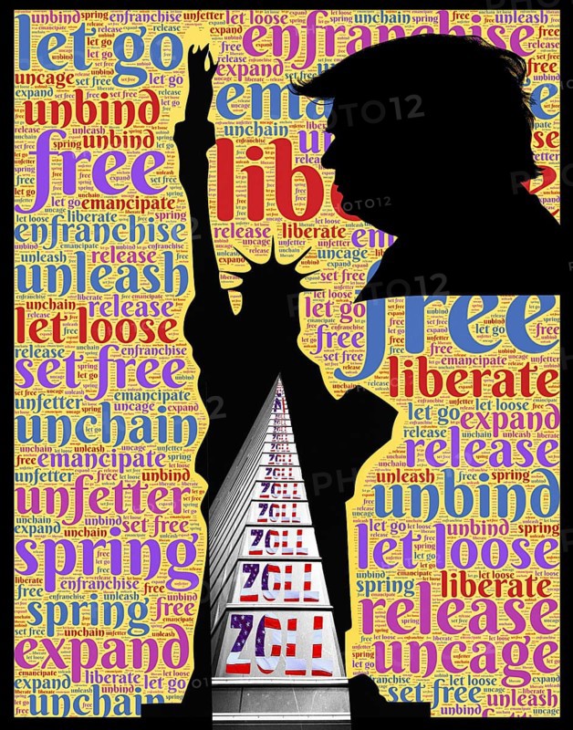 Symbolic image, Statue of Liberty and Trump in customs mania, Trump and Maga movement as a threat to US democracy, global danger, climate change and nature are fake news, Bitcoin king, kleptocracy, price development, Bitcoin questionable due to extreme energy requirements, stock exchange prices, uncertain digital currency, resources, energy, industry, economy critical, stock market hype, stock market crash, payment, insolvency, wrong decisions, maximum profit, profit break, share prices, location Germany, world economy, globalization, environmental protection, mafia, Trump government, Bitcoin rally, cryptocurrency, electronic wallet wallet, crypto reserve, stock exchange trading, gold replacement currency
