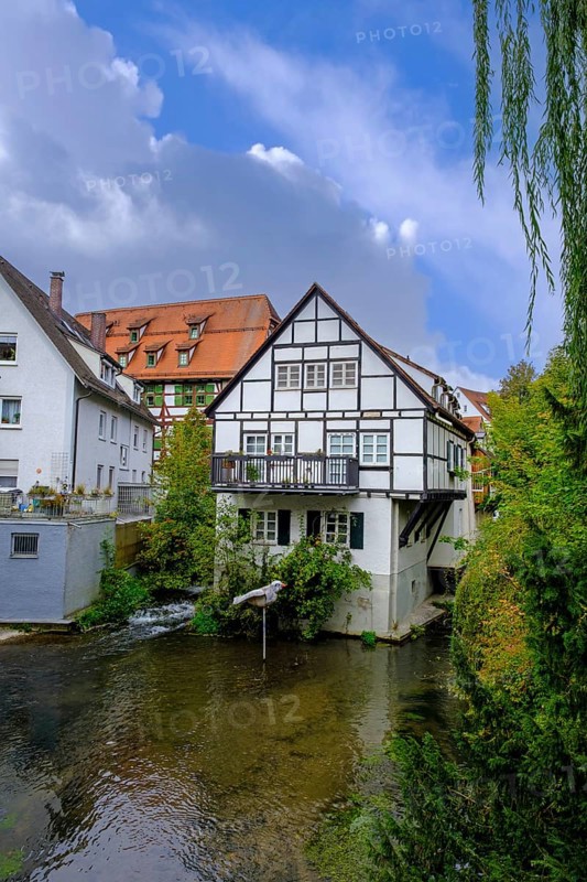 Ulmer Spatz, Fischerviertel, Ulm, Baden-Württemberg, Germany