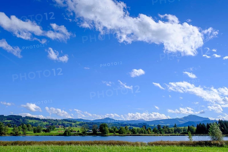 Sulzberger Weiher, Öschele Weiher, Oberallgäu, Swabia, Bavaria, Germany