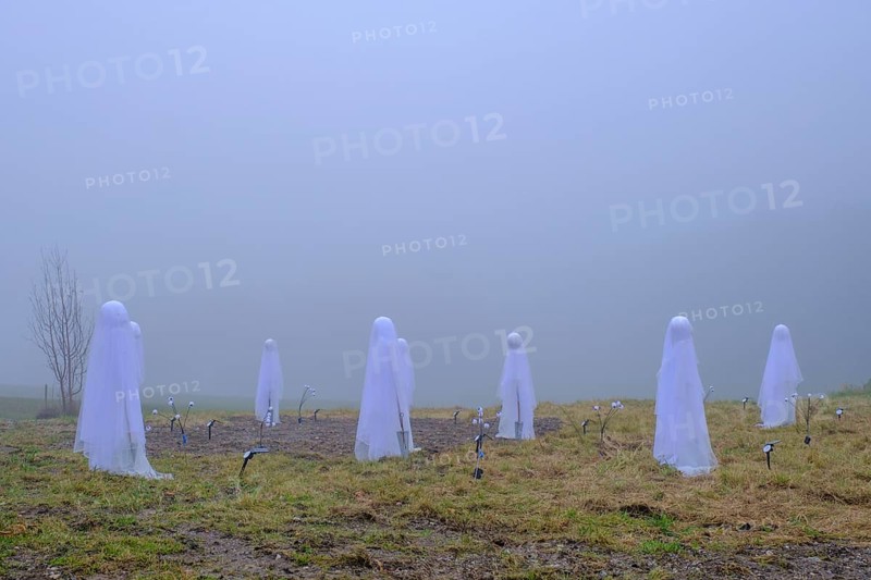 Geister im fog, Halloween, Haunted, Mystical, Samerberg, Upper Bavaria, Bavaria, Germany