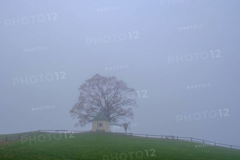 Fog an der Aussichtskapelle am Obereck Törwang, Samerberg, Upper Bavaria, Bavaria, Germany
