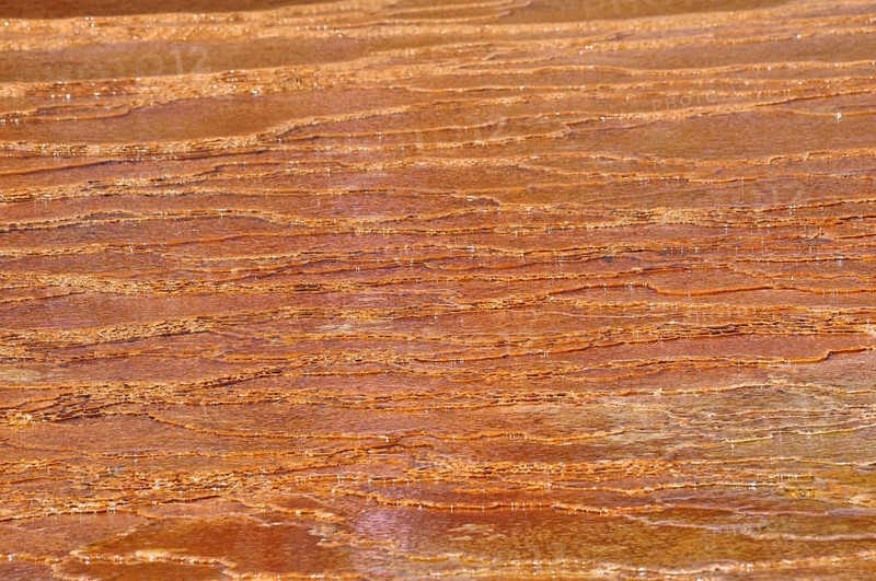 Close-up of an orange geological texture from volcanic deposits, Yellowstone National Park, Wyoming, USA
