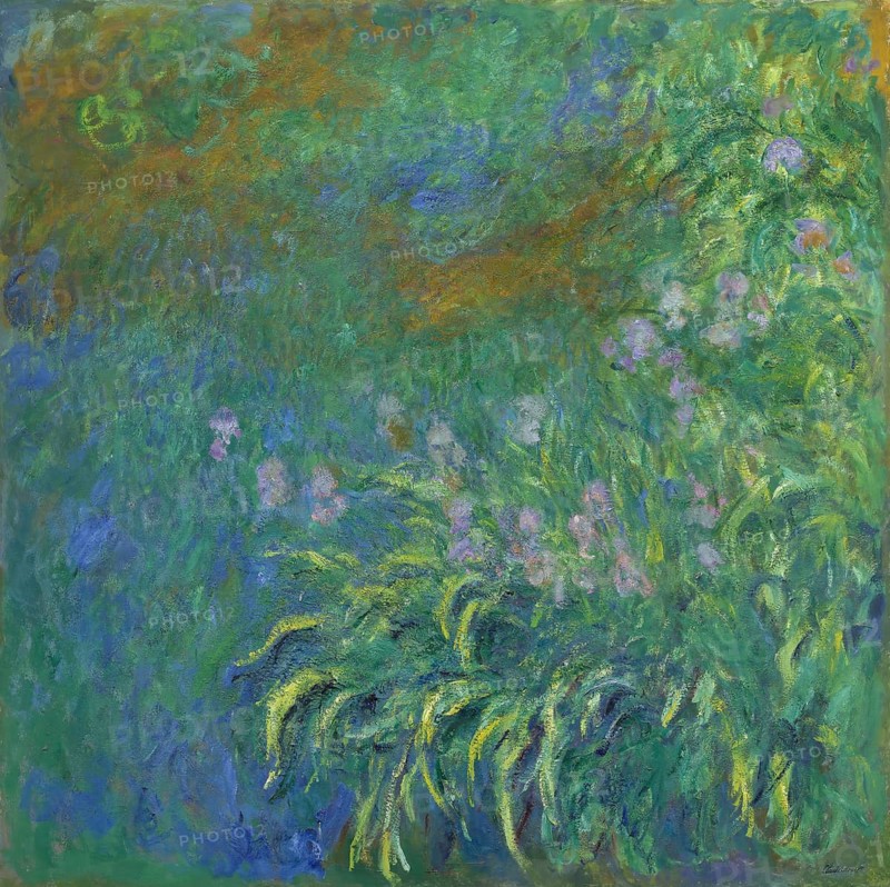 Claude Monet (b. 14 November 1840 in Paris as Oscar-Claude Monet, d. 5 December 1926) important French painter, Impressionist style. Here his work, Irises (1914-17), Irises (1914-17), A dense texture of plants and flowers in a lush garden