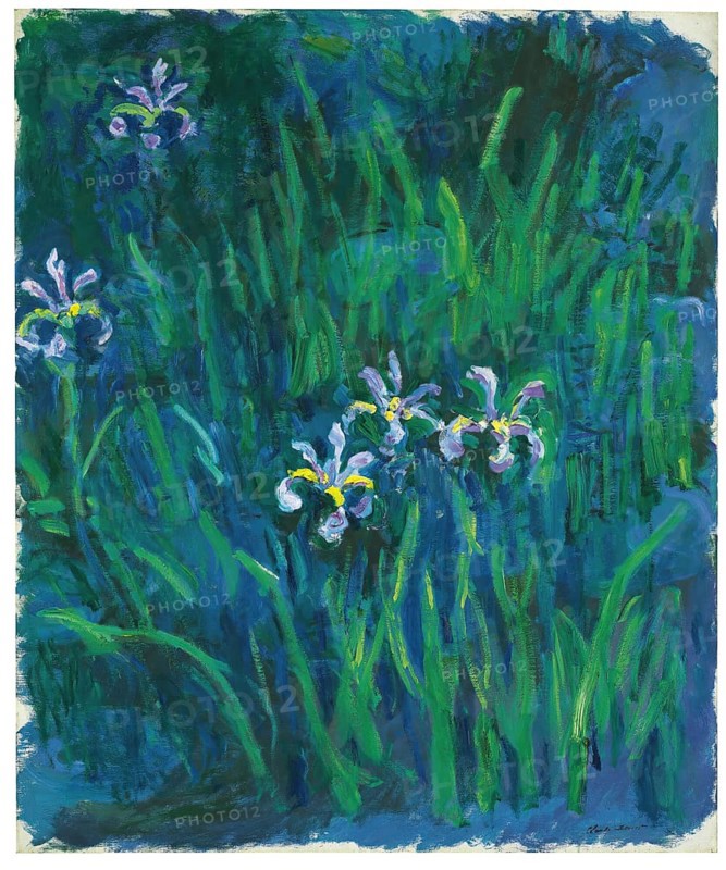 Claude Monet (b. 14 November 1840 in Paris as Oscar-Claude Monet, d. 5 December 1926) important French painter, Impressionist style. Here is his work, Iris blossoms, iris flowers blooming in a green, lush meadow in spring