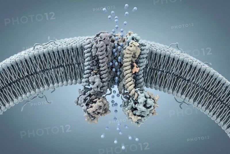 Molecular view of the cell membrane: A defective CFTR ion channel (cause of cystic fibrosis) is stabilised by small molecules (CFTR modulators) so that chloride ions can flow again. Pneumology, genetics, gene therapy, AI generated