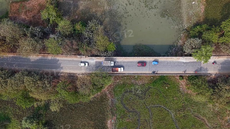 Aerial top-down view of vehicles traveling along a rural road bordered by wetlands and dense greenery