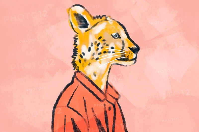 A whimsical illustration of a cheetah wearing a stylish red jacket, set against a soft pink background. This artistic portrayal blends wildlife with fashion elements