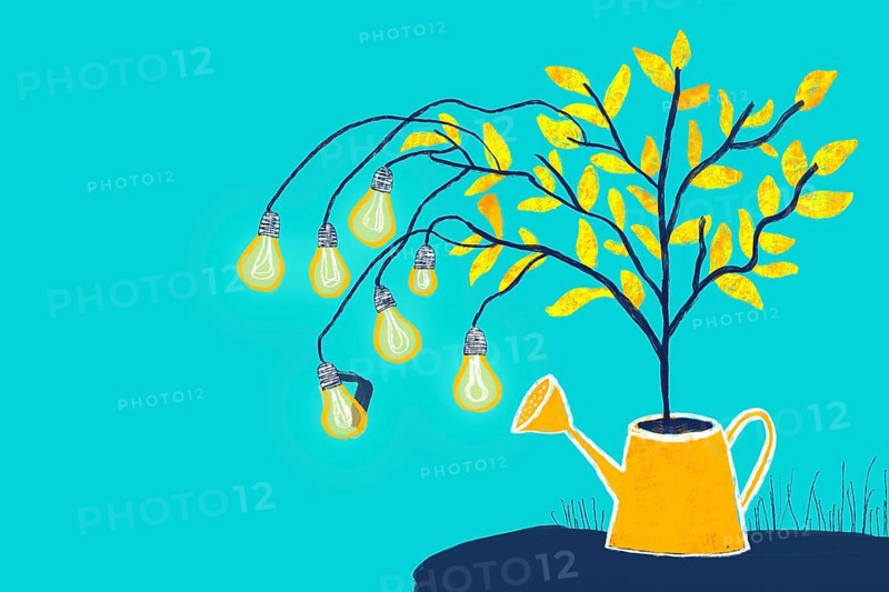 An imaginative illustration of a tree growing from a watering can, its branches bearing light bulbs as fruit, symbolizing creativity, growth, and innovation