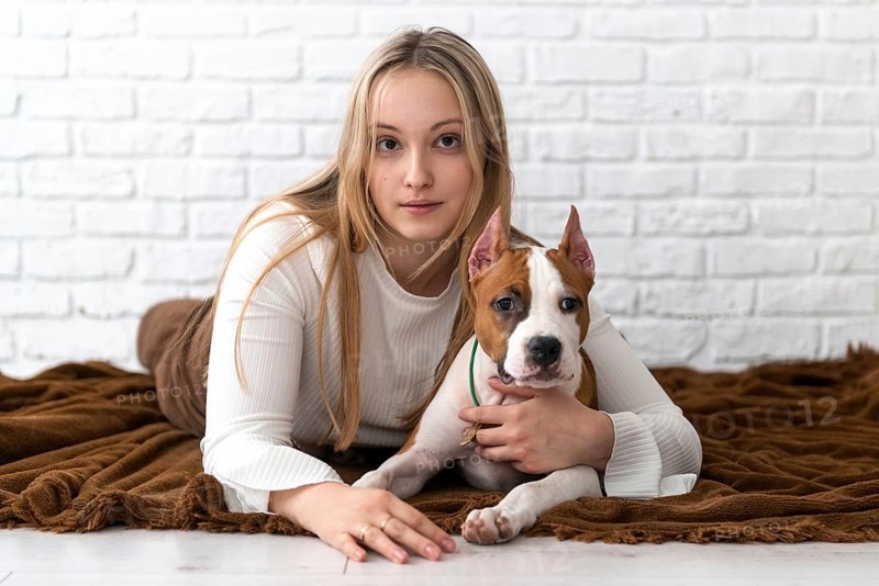 A young woman with blonde hair lounges on a brown blanket, affectionately cuddling her white and brown Staffordshire Terrier puppy dog in a warmly lit room with a white brick background