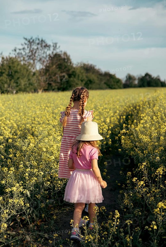 Two girls sisters play happily together in nature on a flowering field in summer