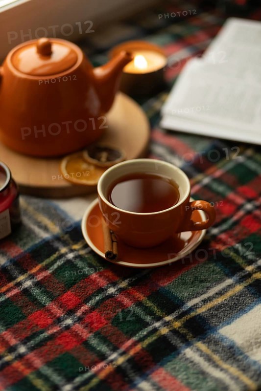 Warm and inviting scene featuring a cup of tea, teapot, and plaid blanket. Soft lighting creates a cozy atmosphere, perfect for relaxation and reading by candlelight