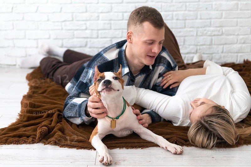 A young man and woman enjoy a cozy moment with their small white and tan dog on a brown blanket in a bright, white-walled room