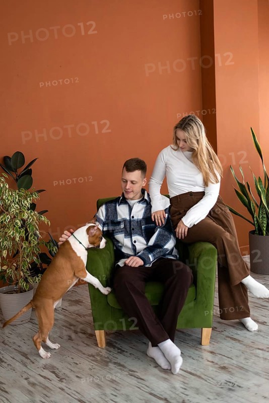 A young couple enjoys a relaxing moment with their playful Staffordshire Terrier puppy dog while seated on a green armchair in a modern home setting with stylish decor