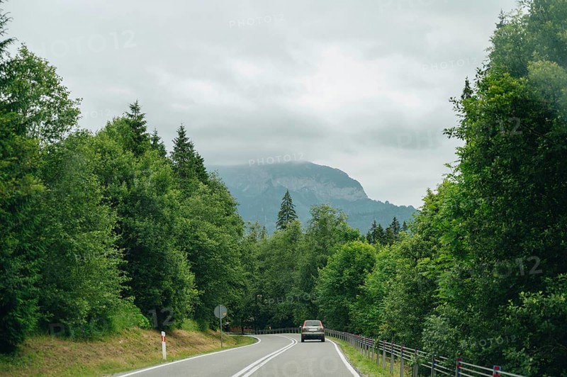 Car traveling on a road surrounded by dense green forests with a view of the foggy mountains in the background, capturing the serene journey through Slovakia's natural landscapes