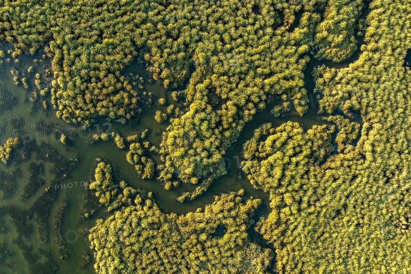 Aerial photograph showcasing the verdant sprawl and intricate waterways of the Guadalquivir Marshes, capturing the natural beauty and ecological diversity of the region