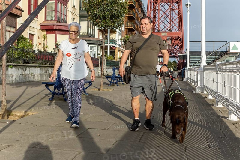 A blind man and senior woman walks their guide dog along a sunny urban street with a prominent landmark in the background. They enjoy an afternoon stroll, showcasing casual and relaxed city life