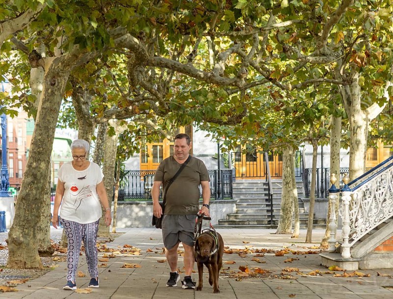 A blind man with a guide dog and a senior woman stroll under vibrant trees in an urban park. The setting is serene, with scattered leaves and ornate architecture