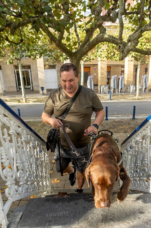 A blind man confidently walks up stairs with his guide dog on a sunny day. The scene is set in an outdoor urban environment with autumn leaves scattered around