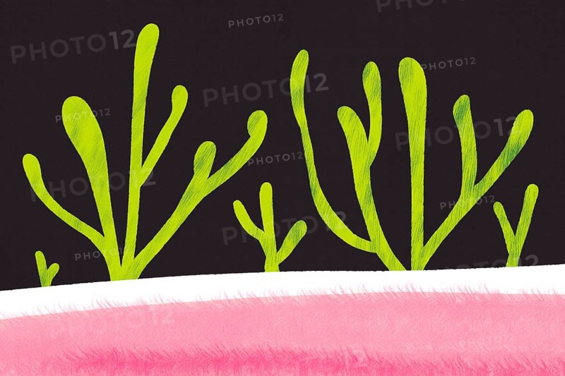 An eye-catching abstract illustration featuring vivid green plant like shapes on a stark black background, contrasted with a bold pink stripe