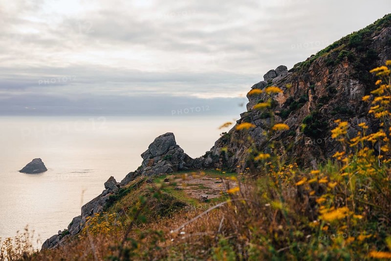 A breathtaking coastal cliff adorned with vibrant yellow wildflowers, overlooking a tranquil sea during sunset. The scene captures the serene beauty of nature in Finisterre with a distant rocky island under a cloudy sky