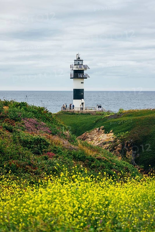 A picturesque lighthouse stands tall on a coastal cliff, overlooking the serene ocean. Bright yellow flowers bloom in the foreground, enhancing the natural beauty of the scene