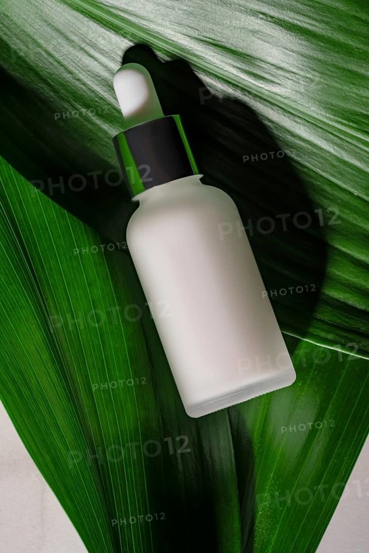 A sleek white cosmetic bottle with a green dropper nestled among fresh green leaves, symbolizing natural skincare beauty