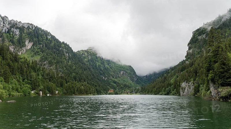 Serene view of Lac de Taney in Switzerland, enveloped by dense forests and high rocky mountains under a cloudy sky, reflecting the pristine beauty of untouched nature