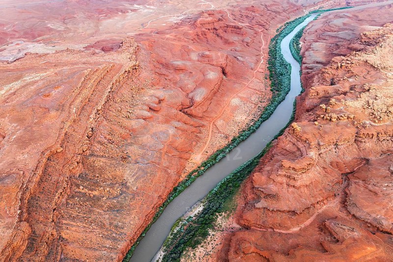 Aerial shot displays the meandering Rio San Juan snaking through vibrant red, rocky terrains of Utah, USA, showcasing nature's artistry from above