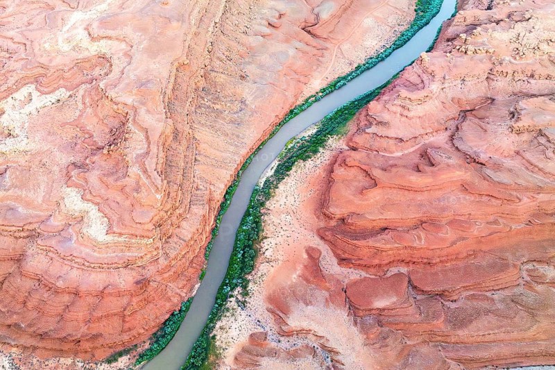 A stunning aerial shot of the Rio San Juan river weaving through the layered red rock formations in Utah, USA, showcasing nature's artistry