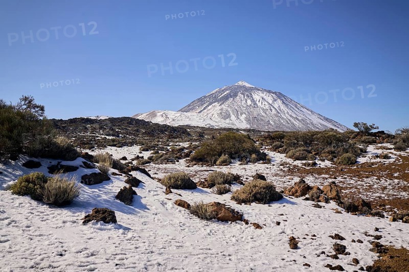 Teide covered mountain peak rises over a rugged landscape. Sparse vegetation and rocks dot the snowy ground, all under a bright blue sky